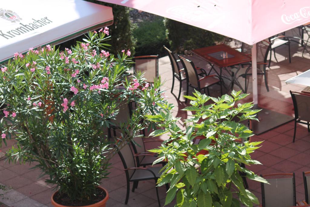 Parkhotel Altes Kaffeehaus โวลเฟนบึทเทิล ภายนอก รูปภาพ